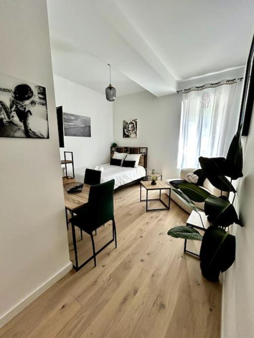 Le Romy Apartment Toulouse Exterior photo